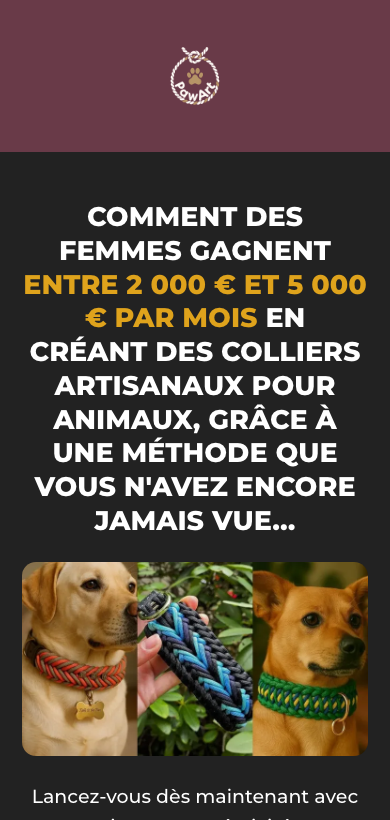 Mobile capture of the French PawArt page implementation